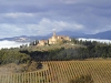 castello-banfi-01