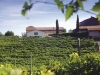 poderi-boscarelli-01