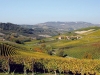 poderi-colla-01