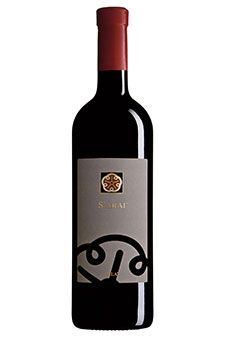 Foto di Pala Foto di Pala