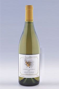 Foto di Sergio Mottura Foto di Sergio Mottura